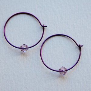 Purple Niobium Hoop Earrings